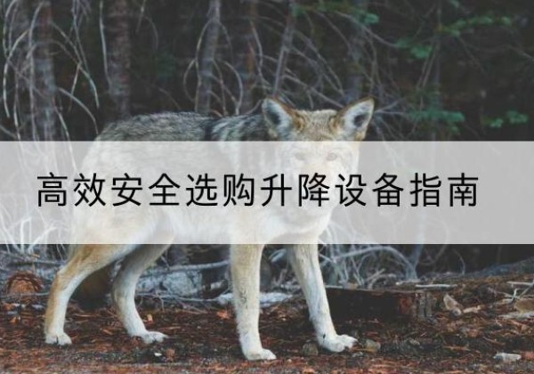 万年升降货梯厂家推荐-*安全选购升降设备指南