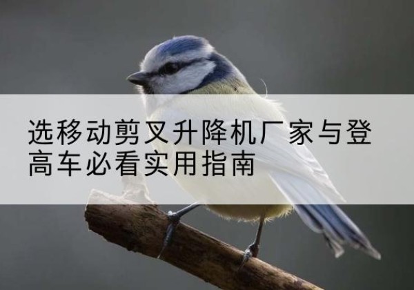 万年电动升降机厂家-选移动剪叉升降机厂家与登高车必看实用指南