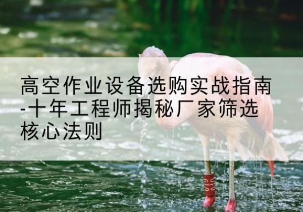 万年剪叉式升降机厂家-高空作业设备选购实战指南-十年工程师揭秘厂家筛选核心法则